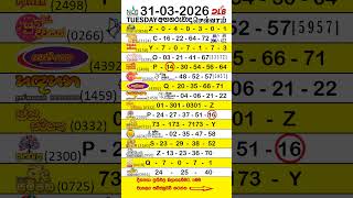 31032026tuesdayall Lottery Resultsgood Luckshorts