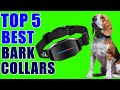 Top 5 Best Bark Collars 2020