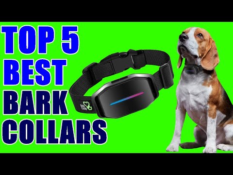 top-5-best-bark-collars-2020