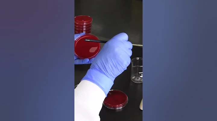 Streaking an Agar Plate -  Four Quadrant Streak Method Explained  #microbiology #laboratory thumbnail