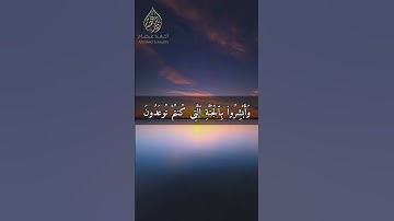 إن الذين قالوا ربنا الله ثم استقاموا || سورة فصلت || أحمد عصام