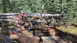 |OTC| Backcountry Utah Archery Elk Hunt |15 YARDS BULL DOWN|