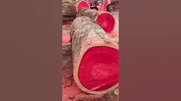 Палисандр