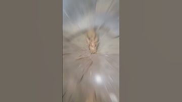 Thử Thách Vớt Lóc Vay Xanh Trong 30 Phút Ở Ruộng #short