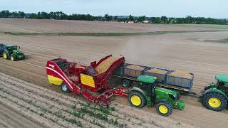 GRIMME WR 200 & SE 260 | 2+2= 4 Reihen