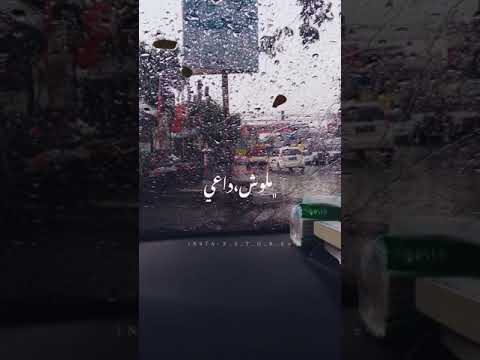 عيني ع اهل كايرو حسين الجسمي