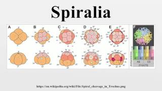 Spiralia