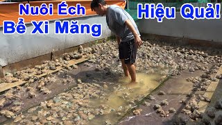 KINH NGHIỆM NUÔI ẾCH TRONG BỂ XI MĂNG HIỆU QUẢ CAO | TRANG TRẠI KHÁNH NGUYÊN - TẬP 2