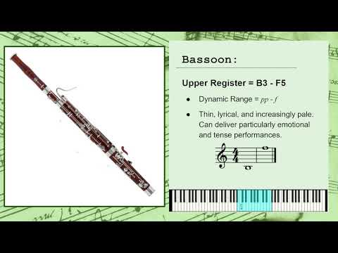 Video: La ce se folosește bassorinul?