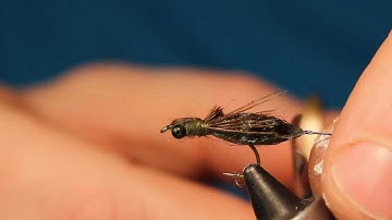 Video #4: Runes Libellnymfe / RS Dragon