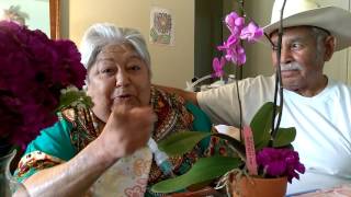 Recuerdos Abuelitos - Amor De Mis Amores