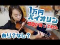 【激安】1万円のバイオリンってどうなの？実際に試してみた！