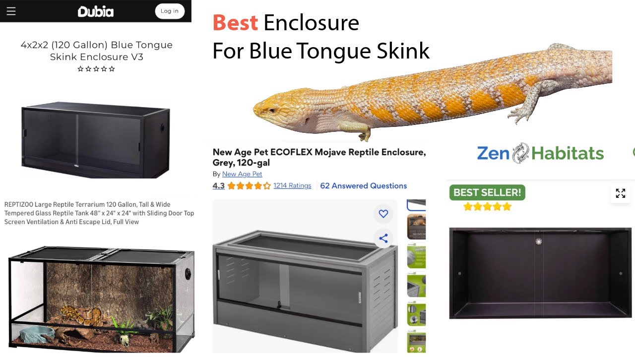Reptile Enclosures: Pros & Cons of Glass vs. Plastic Habitats - YouTube