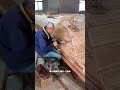 古代にハイテクがなかったにもかかわらず、なぜ彼らの作った木造船は水漏れしなかったのか