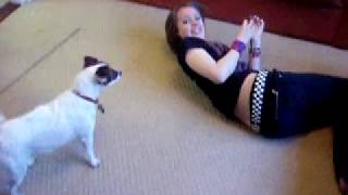 Dog Rape
