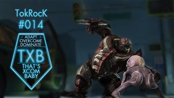 XCOM Multiplayer Nr.14 - Cabal