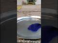 Amazing Science Experiment #shorts