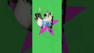 Download Lagu Intro Beaconcream MP3 Download Lagu Intro Beaconcream MP3