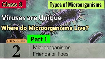 DAV Class 8 Science Chapter 2 Microorganisms Friends or Foes