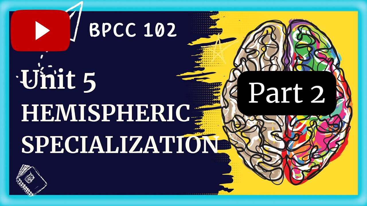 BAPCH IGNOU- BPCC 102 | BIOPSYCHOLOGY | UNIT 5 | HEMISPHERIC SPECIALIZATION | PART 2