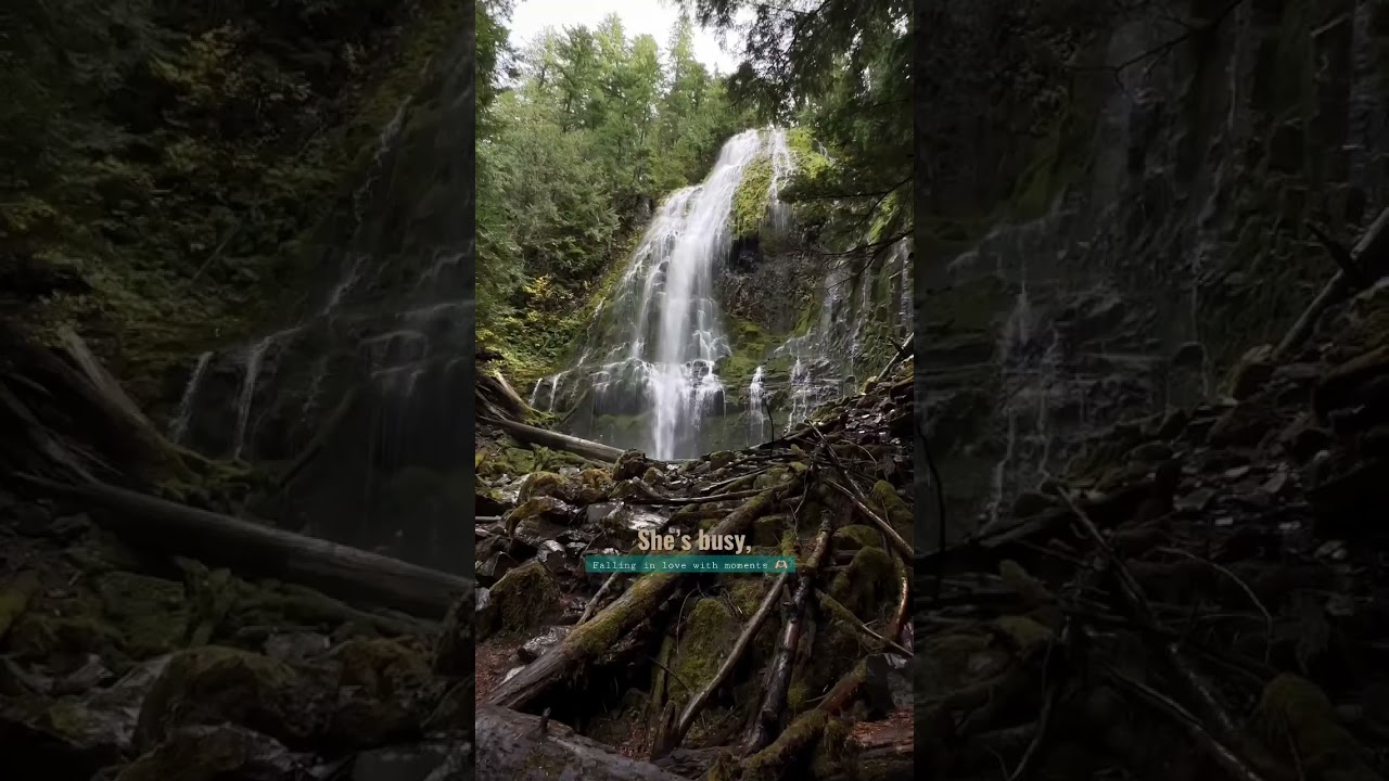 Busy falling in love with moments in the Pacific Northwest🫶🏼 | 