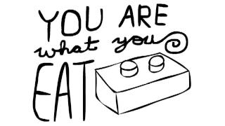 you are what you eat
