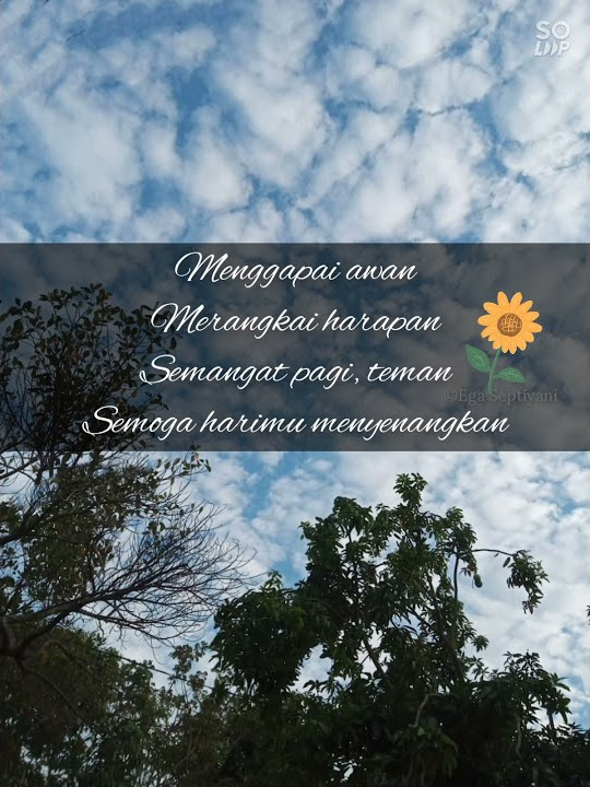 story wa selamat pagi