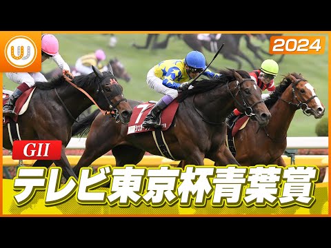 【レース映像】テレビ東京杯青葉賞（GII）シュガークン ｜ウイニング競馬 2024年4月27日