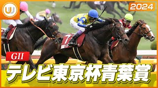 【レース映像】テレビ東京杯青葉賞（GII）シュガークン ｜ウイニング競馬 2024年4月27日