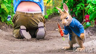 Todas las mejores escenas de las películas de Peter Rabbit ⚡ 4K