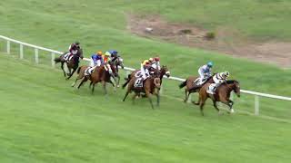 Vidéo de la course PMU PRIX DE FONTAINEBLEAU (PELOTON A)