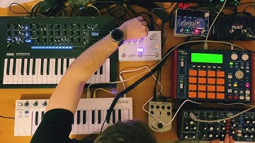Live Synth Jam - Korg Minilogue XD / Behringer Model D / Hologram Electronics - Microcosm / MPC 1000