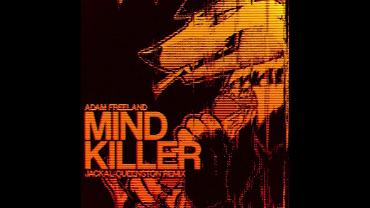 A killers mind