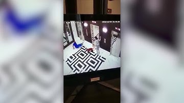 Florida man saves dog after leash stuck in elevator