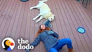 Ring Camera Catches Woman And Her Dog In The Happiest Moment Ever | The Dodo Resimi