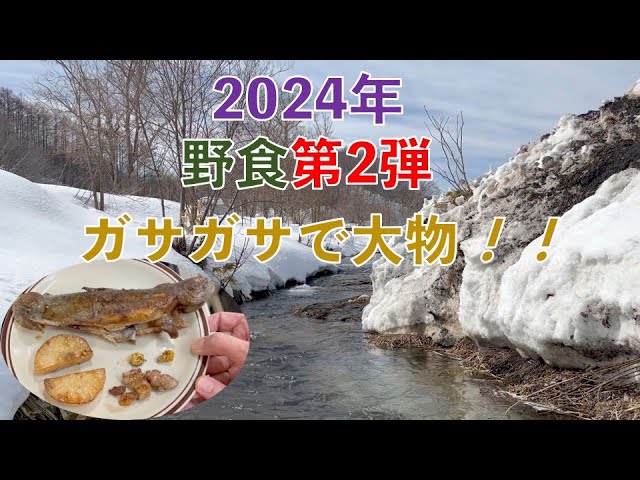 Gasa-gasa (foraging for wild vegetables)] We gather and eat