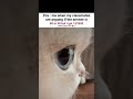 kya hoga mera#cat#cats#hamster#shorts#hamstercore7#lofi#lofichill#trending#relatable#funny#memes#sad