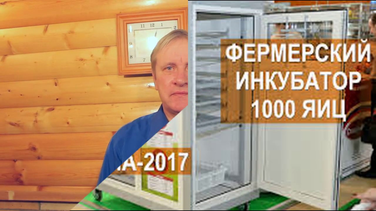 Закупка ингибитор волга