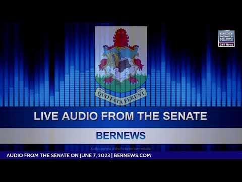 Live Audio: Bermuda Senate In Session