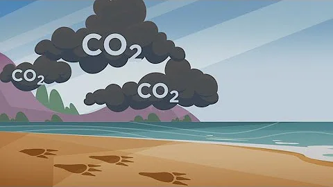 Jaký je průměr uhlíkové stopy v USA?