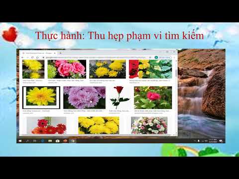 Tin học: Tuần 25