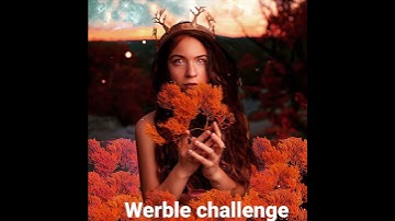 Werble challenge