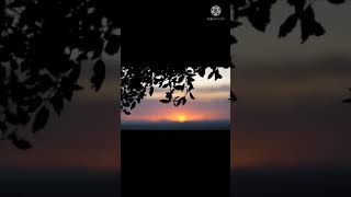 Beautiful Relaxing Music • Peaceful Piano Music & Guitar Music | Sunny Mornings by sleep tonight