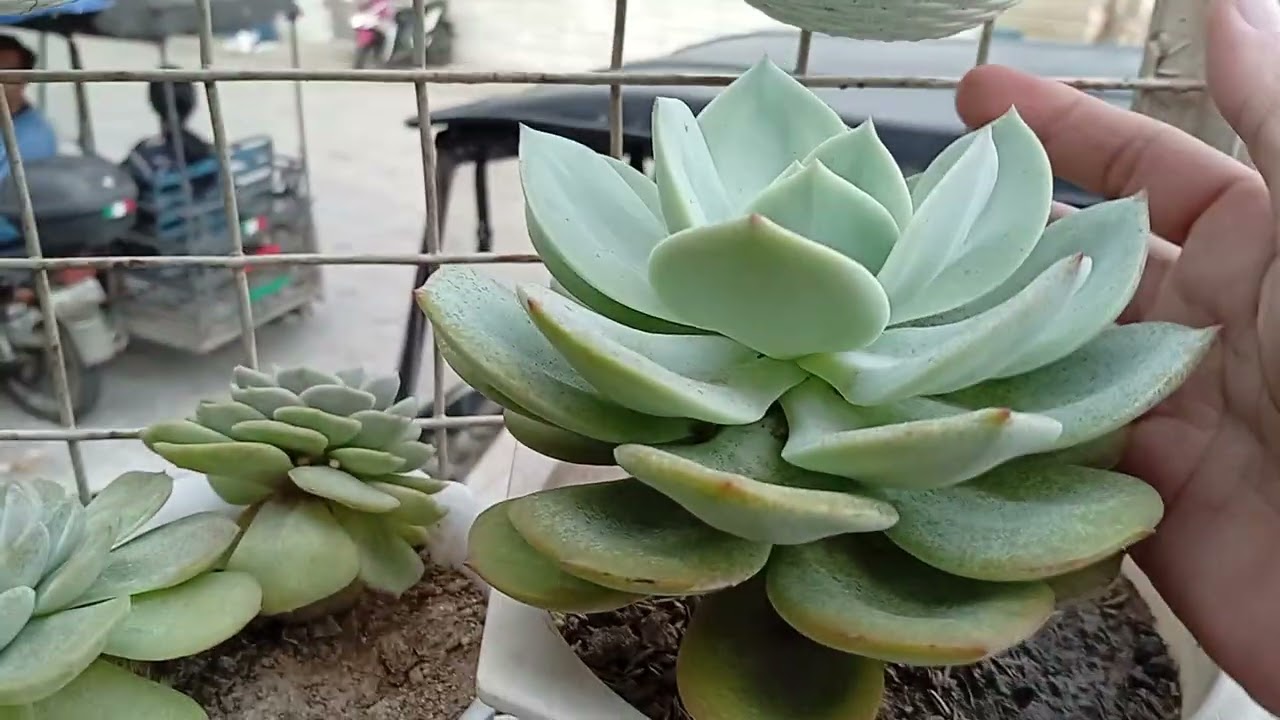 Namine ko na ang nasa wishlist ko || Christmas gift🥰❤️