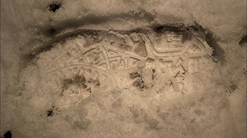 Visual Tracking in Snow : Time To Train for Search and Rescue