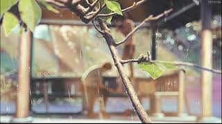 Rainy - Cosmonkey (lofi)