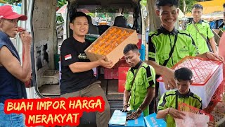 Harga Jeruk Ponkam Mandarin