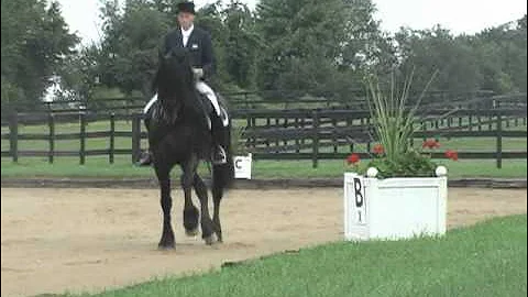 Mintse 384 Sport ~ Ridden by Brad Cutshall. See th...