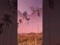 Giờ Vàng luôn đẹp - MrBi