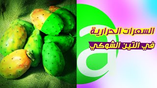 السعرات الحرارية في فاكهة التين الشوكي | Calories in prickly pear fruit